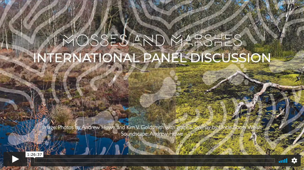 Values. Voices. Action