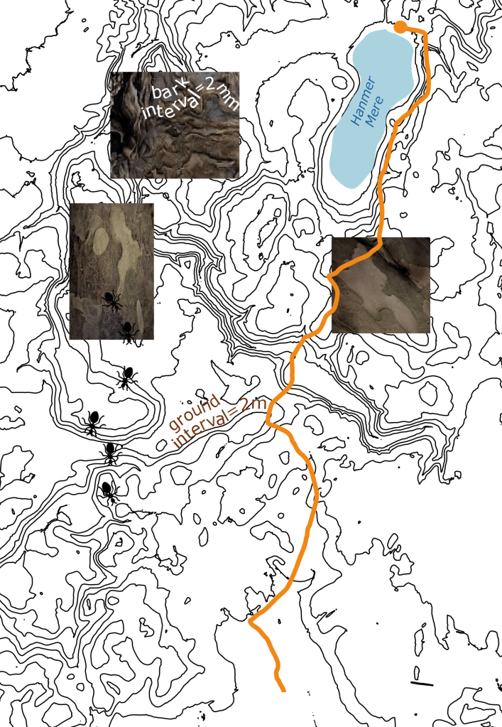 Art work by Heather Miles